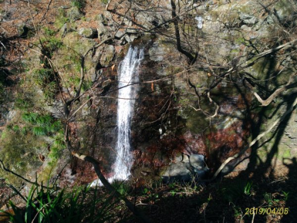 画像35